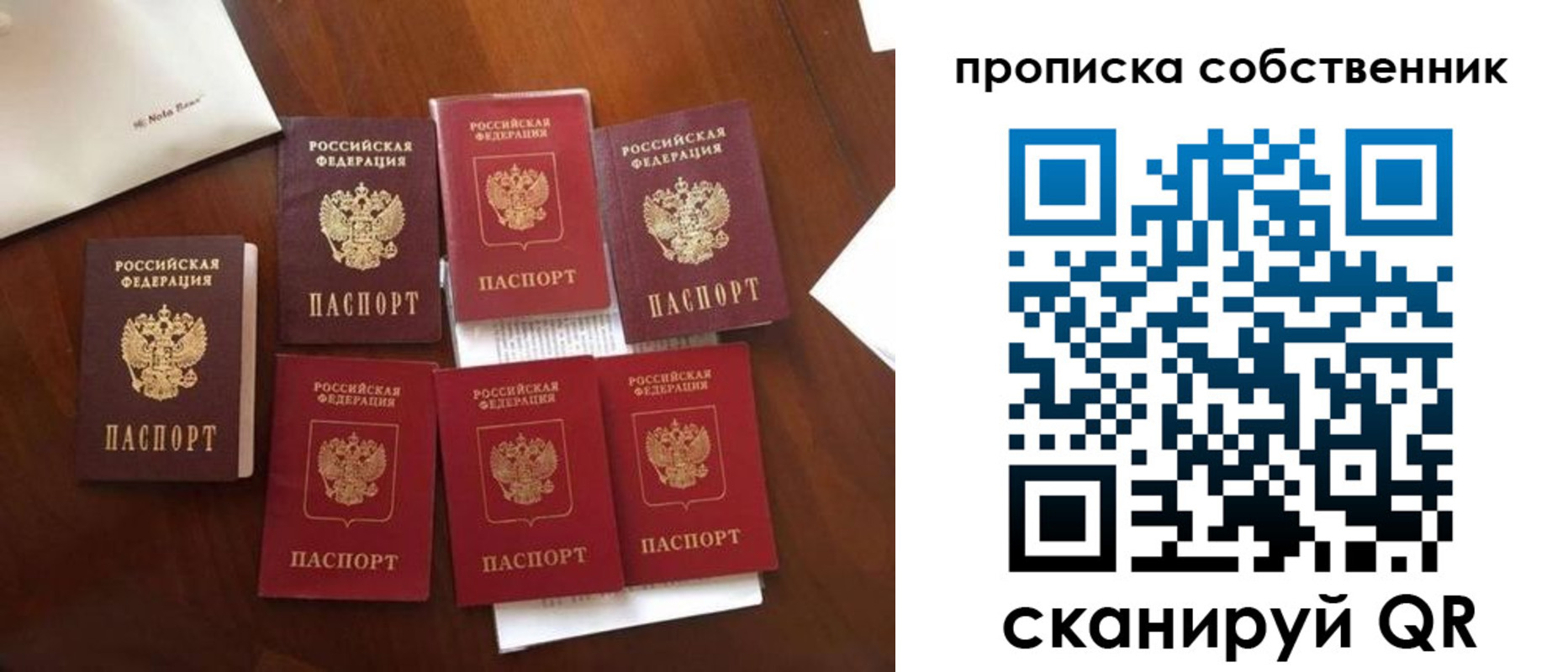 прописка для школы в Ленинградской области