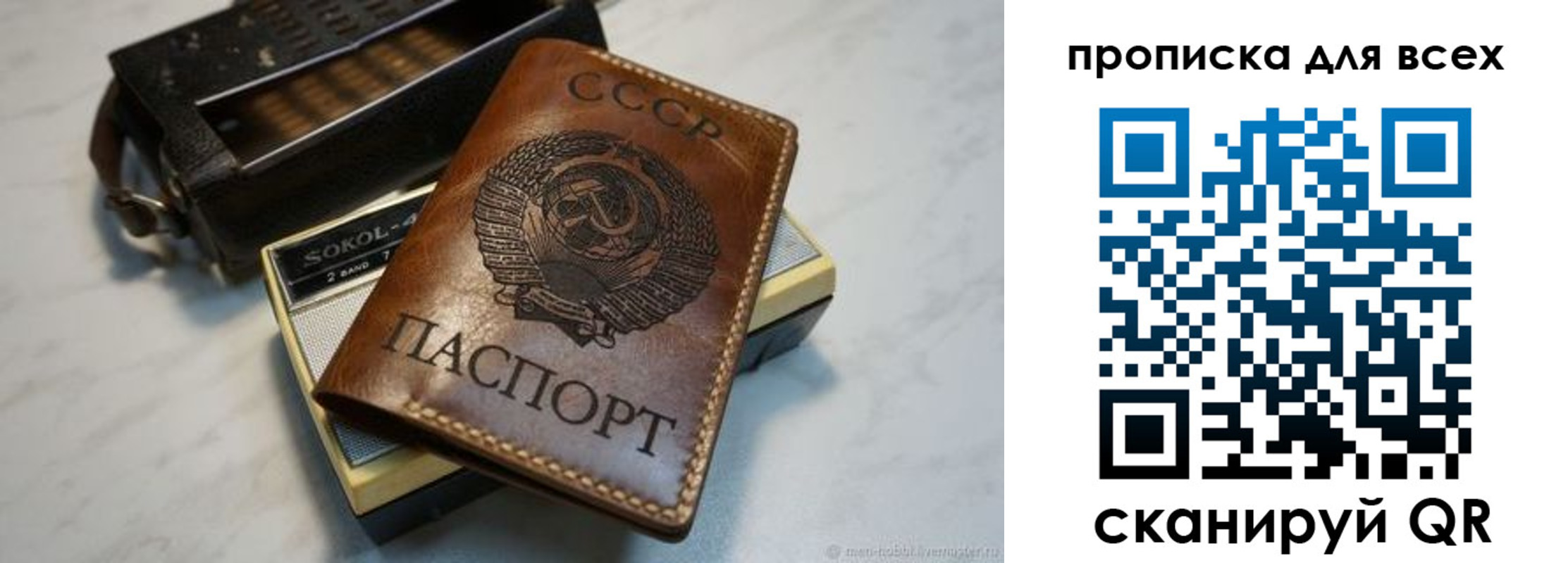 прописка в квартире в Ленинградской области